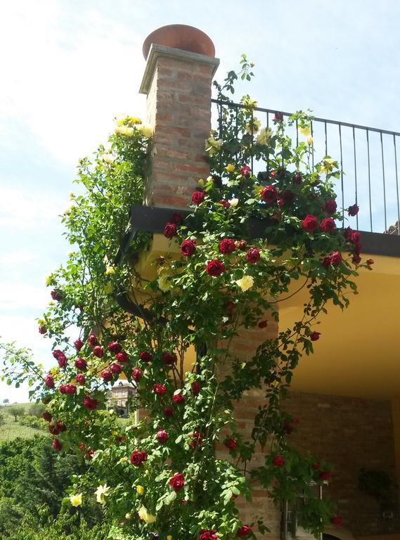 Agriturismo La Terrazza Sul Bosco Villa Barolo Kültér fotó