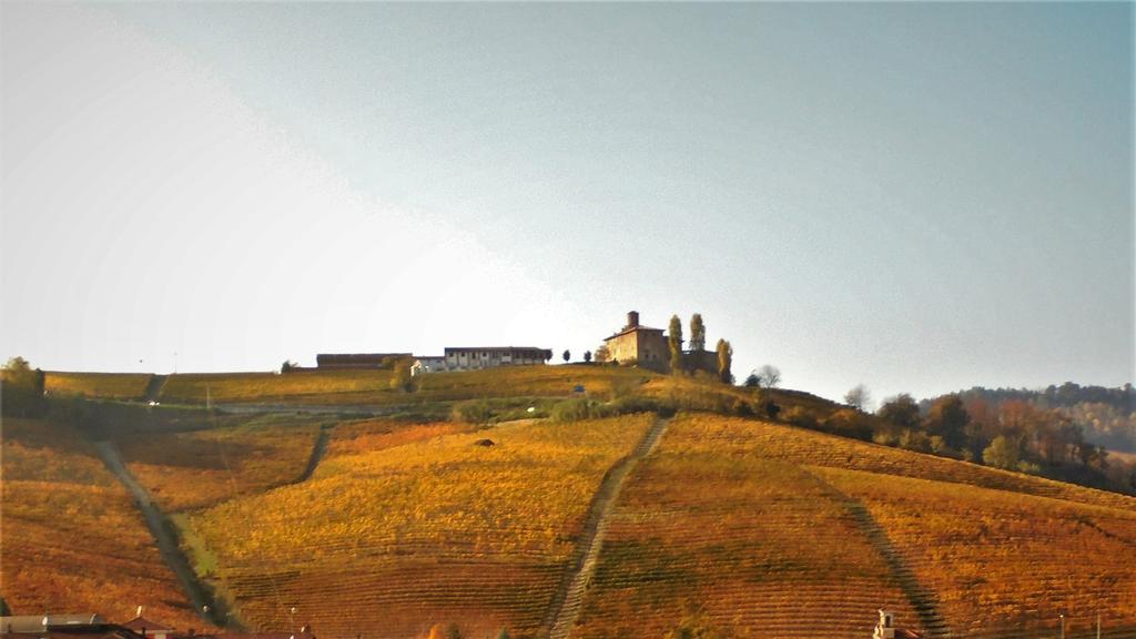Agriturismo La Terrazza Sul Bosco Villa Barolo Kültér fotó
